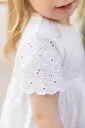 CC30091-01.webp