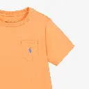 ralph-lauren-boys-orange-cotton-jersey-crew-neck-t-shirt-624924-88c87d6f0c91f5097a5ffd978246685d.webp
