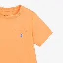 ralph-lauren-boys-orange-cotton-jersey-crew-neck-t-shirt-624924-88c87d6f0c91f5097a5ffd978246685d.webp