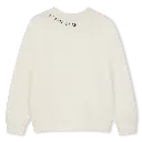 X60867_195_002.webp