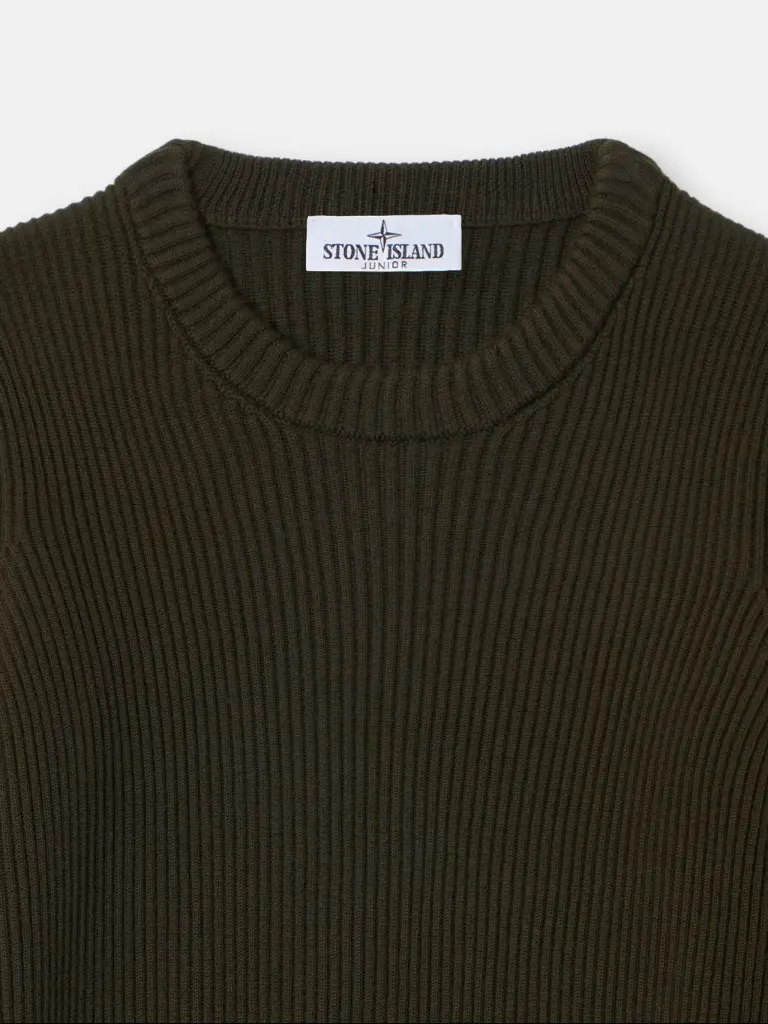 5100010-ribbing-in-pure-rws-wool-military-green-stone-island (2).webp