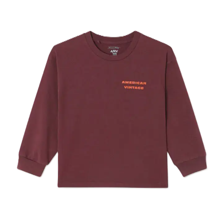 T-Shirt ML Fizvalley Aubergine (3ans).webp