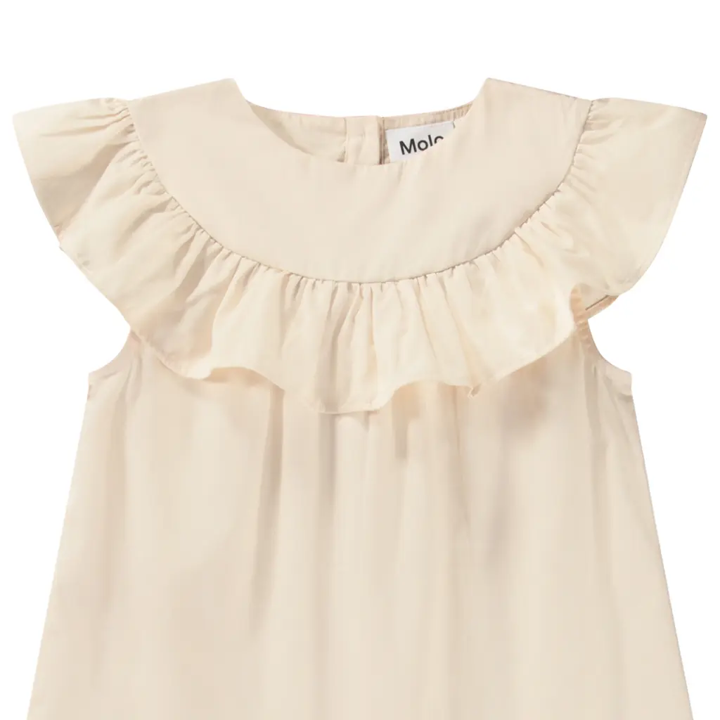 2S25E122_5410_C_large.webp