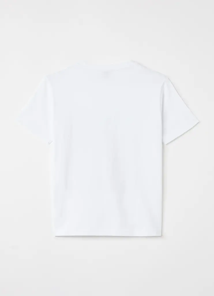 télécharger (1).webp