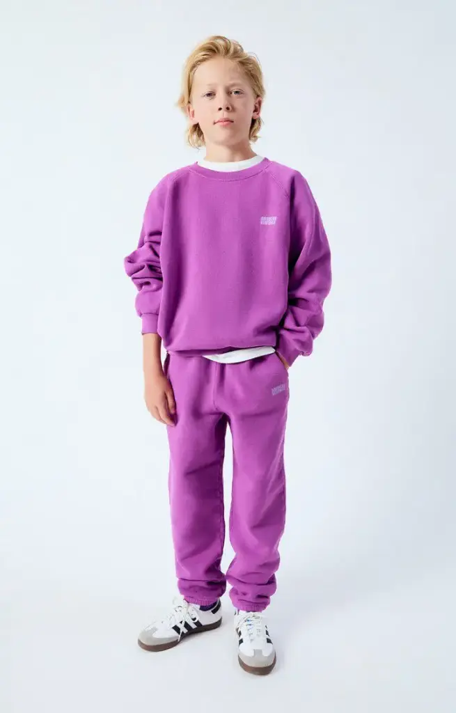 Sweat Izubird Vintage Grappe