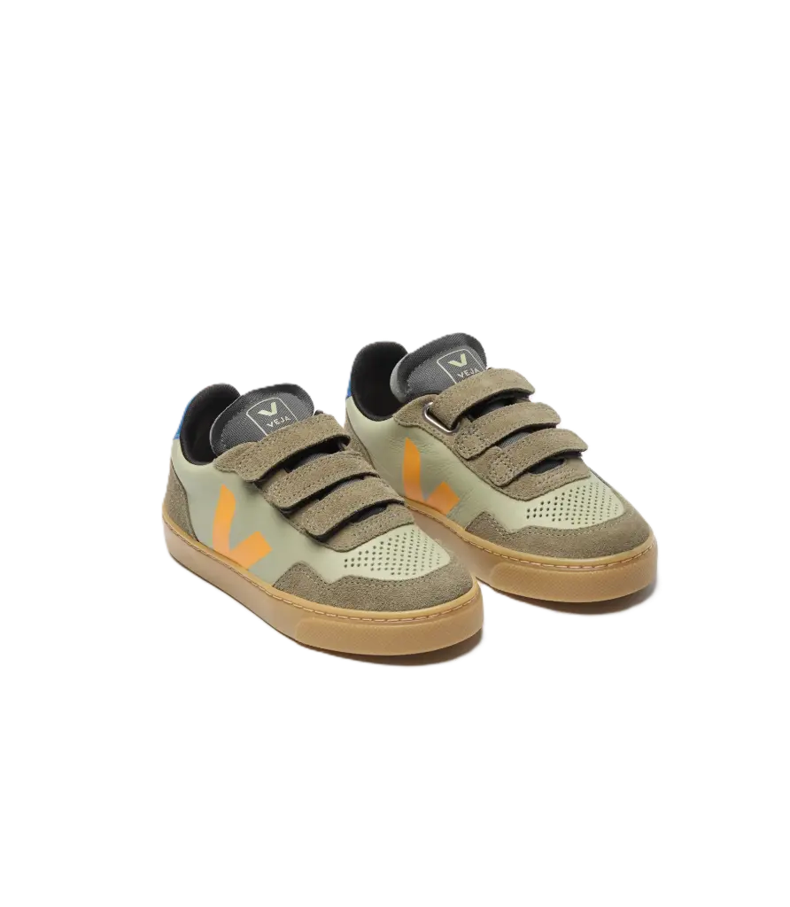 Small V-90 Clay Mango Kaki