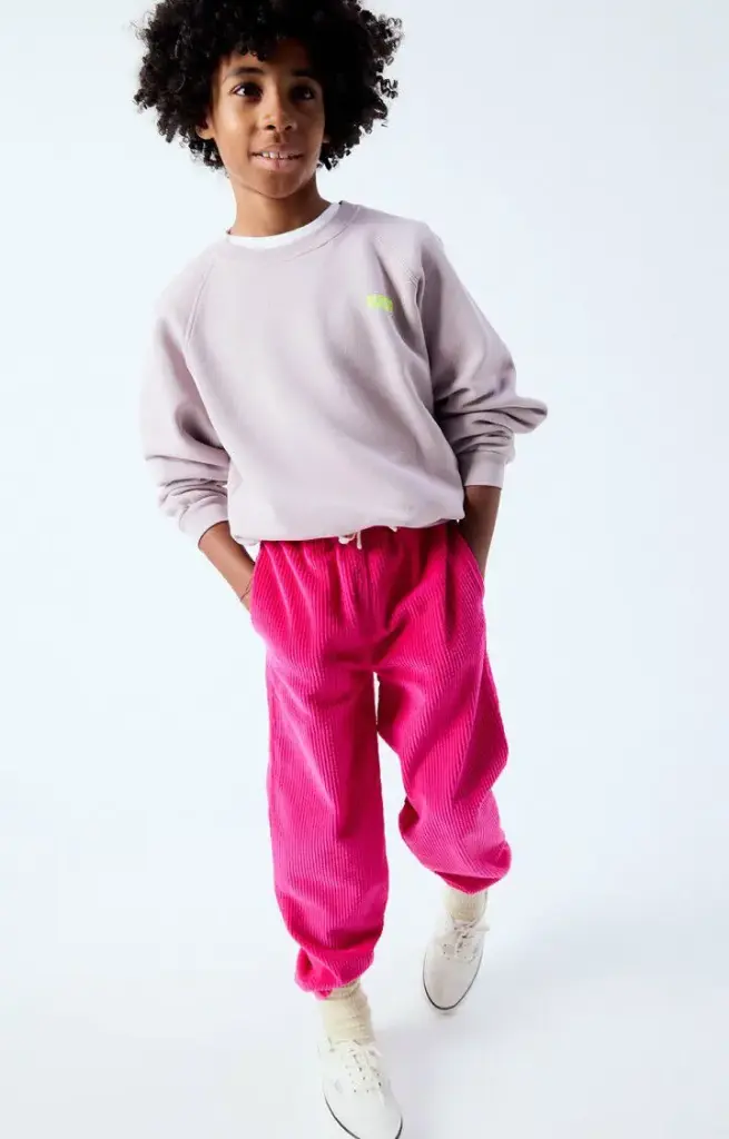 Sweat Izubird Prunelle Vintage 