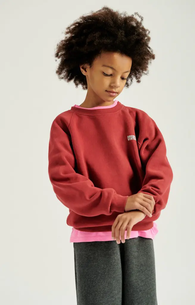 Sweat Izubird Cerise Vintage