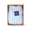 M0235- Classique Rayures Bleu Clair