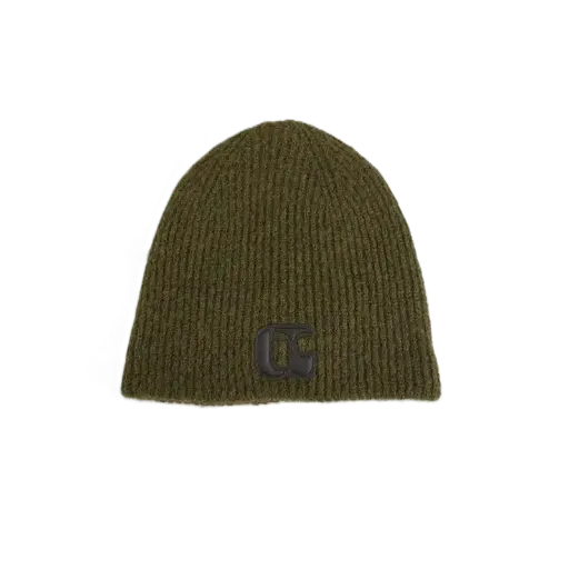 Bonnet Ulrich Lizard