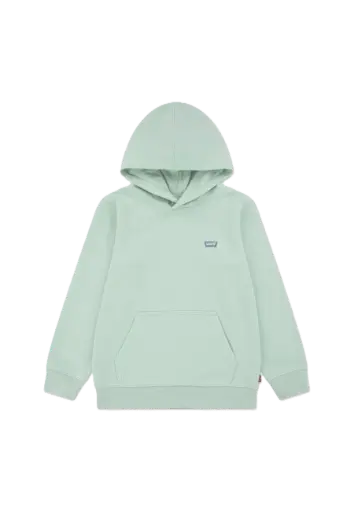 Sweat Hoodie Cameo Green